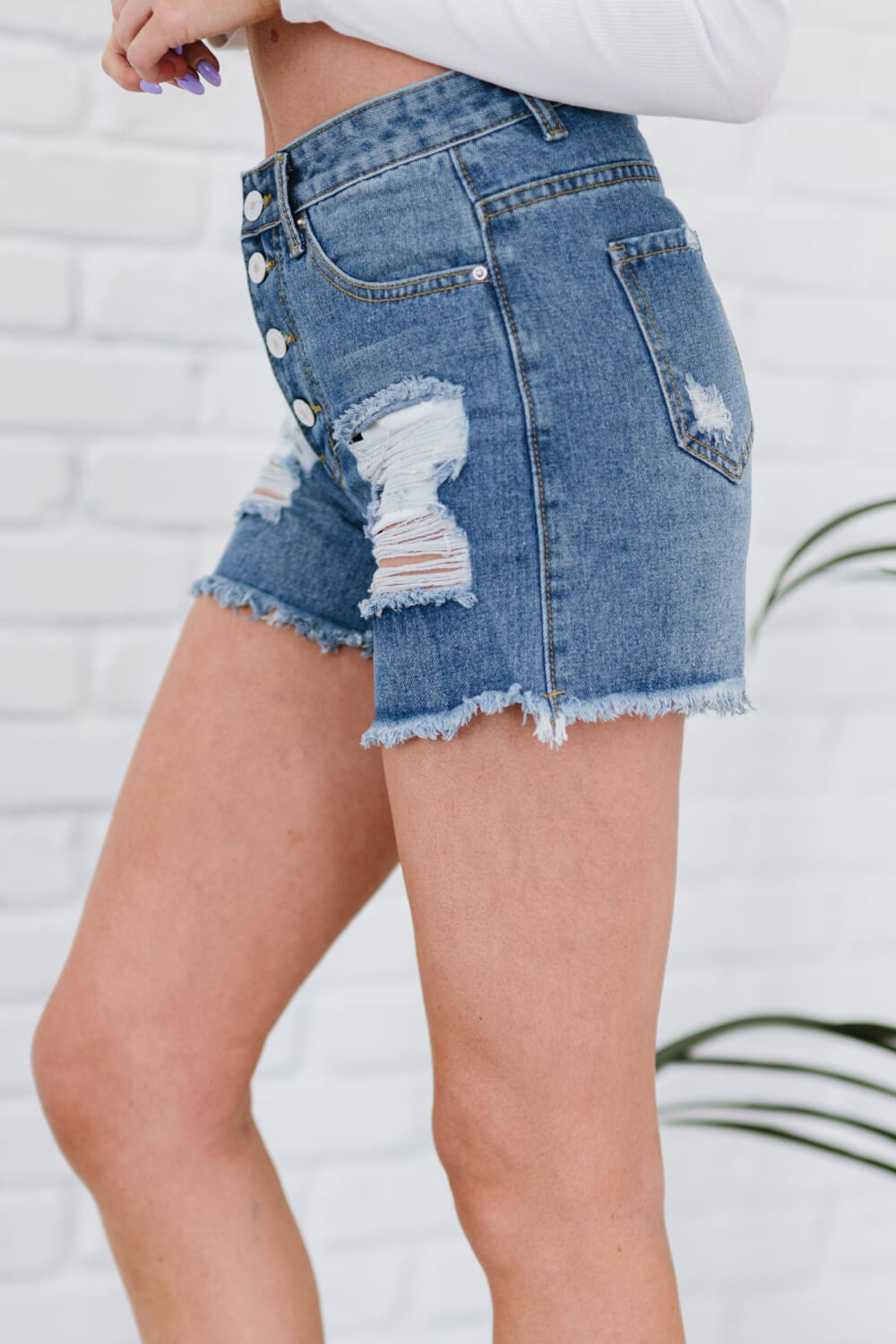 Homeward Bound Button Fly Distressed Denim Shorts
