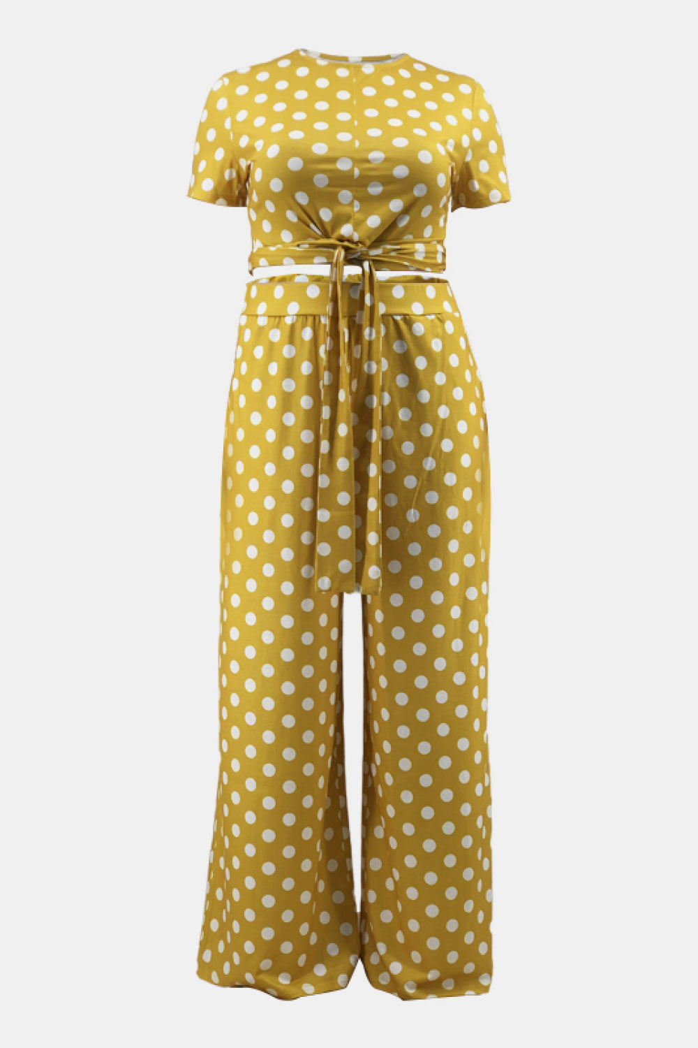 Plus Size Polka Dot Short Sleeve Top and Wide Leg Pants Set