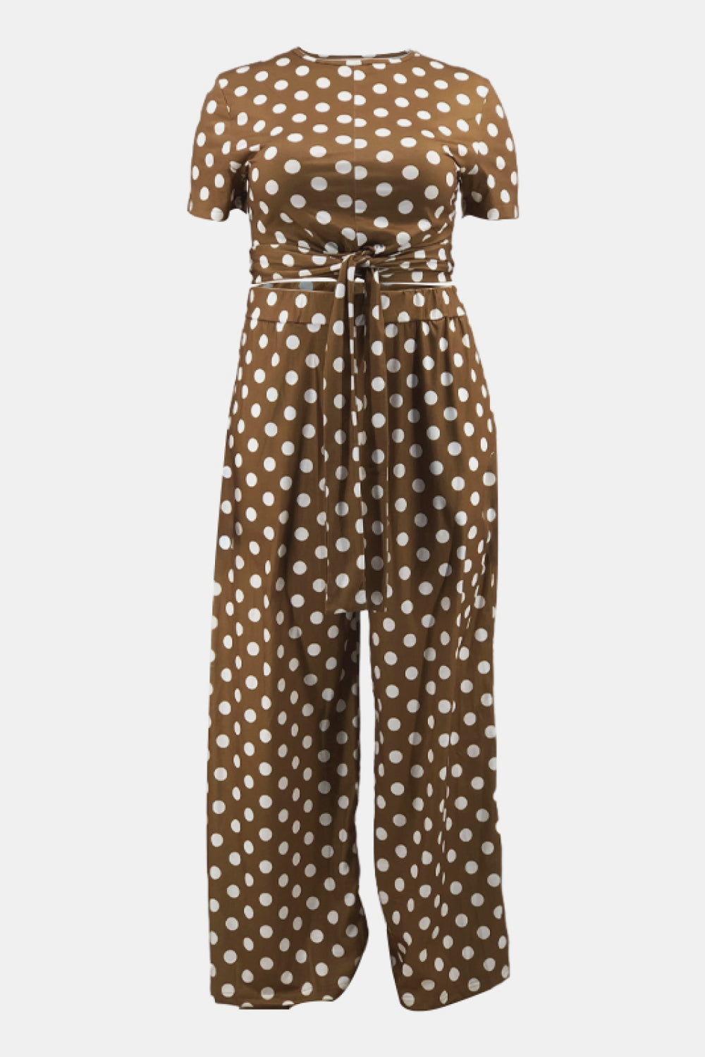 Plus Size Polka Dot Short Sleeve Top and Wide Leg Pants Set